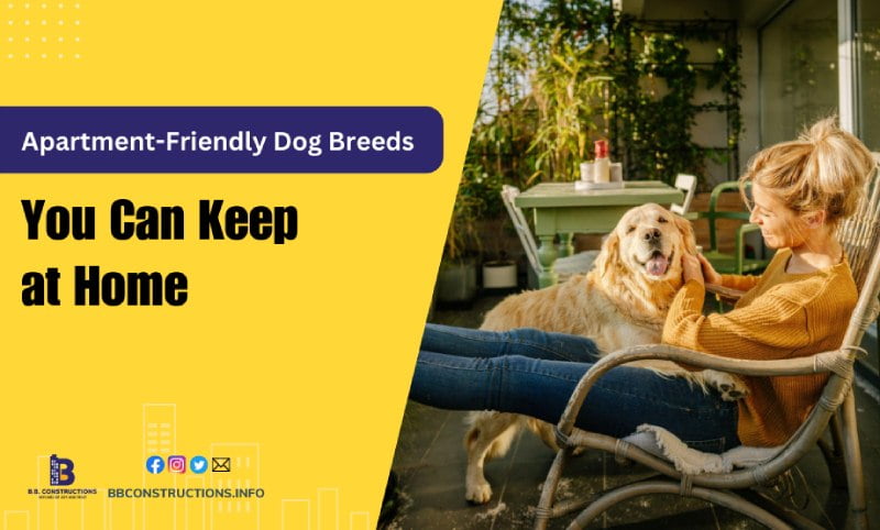 friendly dog breeds in India