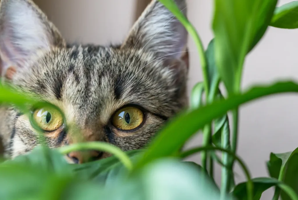 Choosing Pet-Safe Plants for Your Home