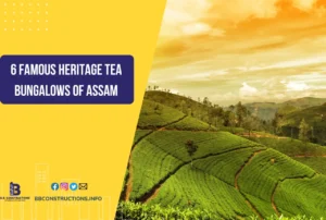 tea bungalows of Assam