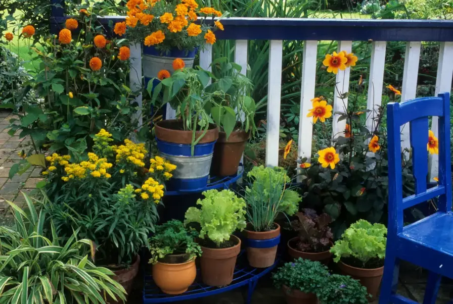 Design a Vibrant Balcony with Colorful Flowers