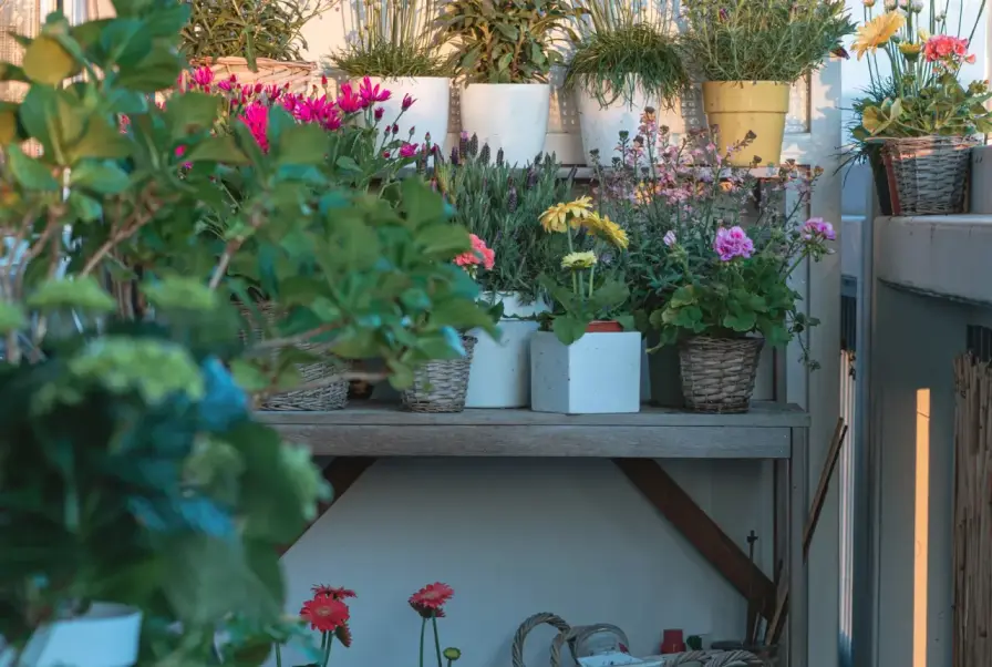 Maximize Vertical Space with Tiered Planters and Hanging Baskets