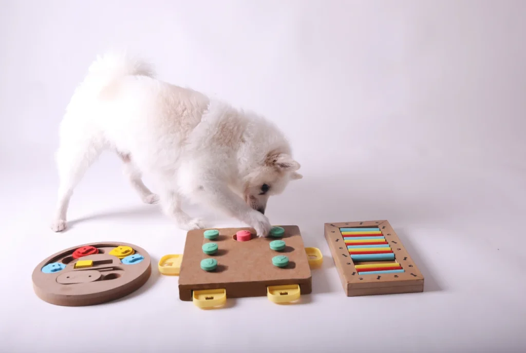 Interactive Smart Toys